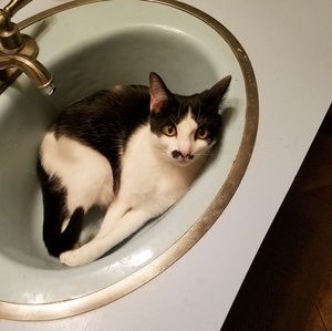 Meet your Posher, Laura